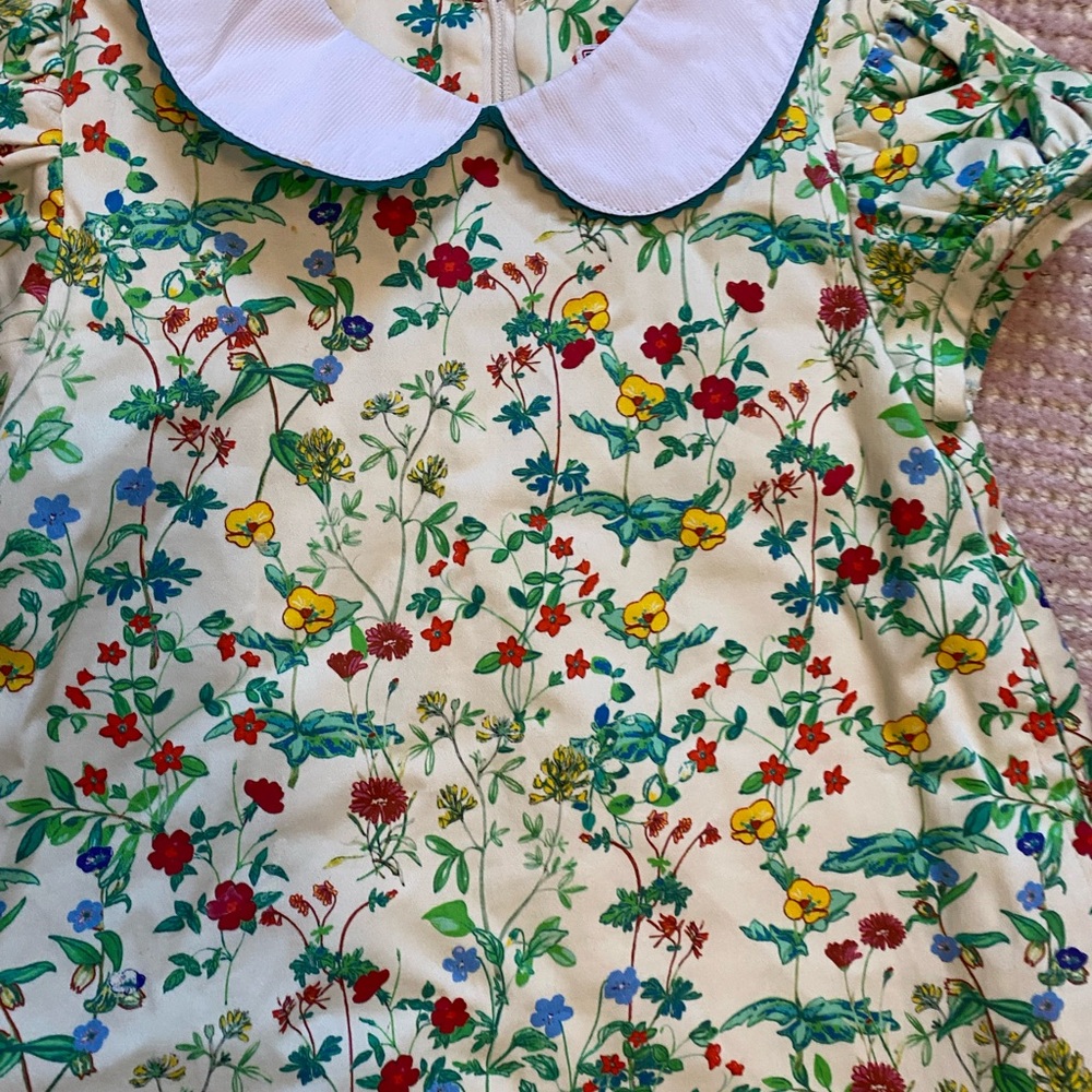 Never been worn Bella bliss Floral Print Dress with White Collar
